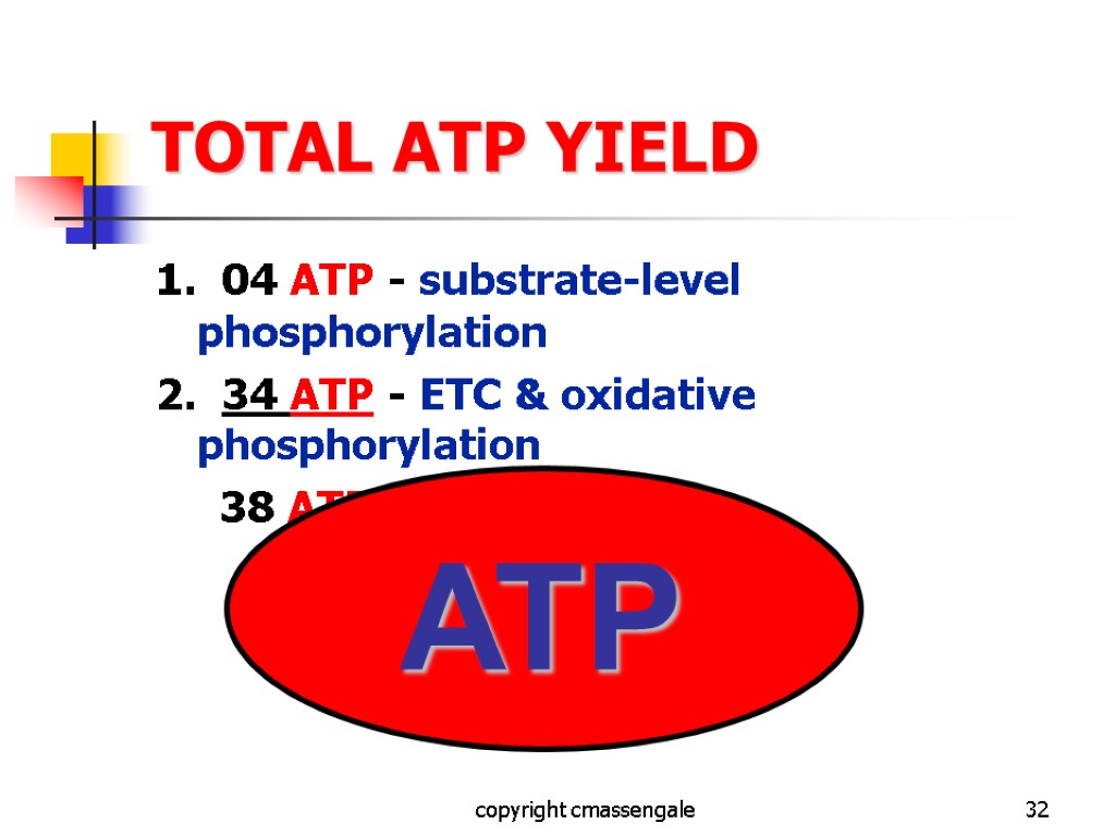 32 TOTAL ATP YIELD 1. 04 ATP - substrate-level phosphorylation 2. 34 ATP -